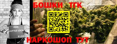 ALPHA PVP Гай